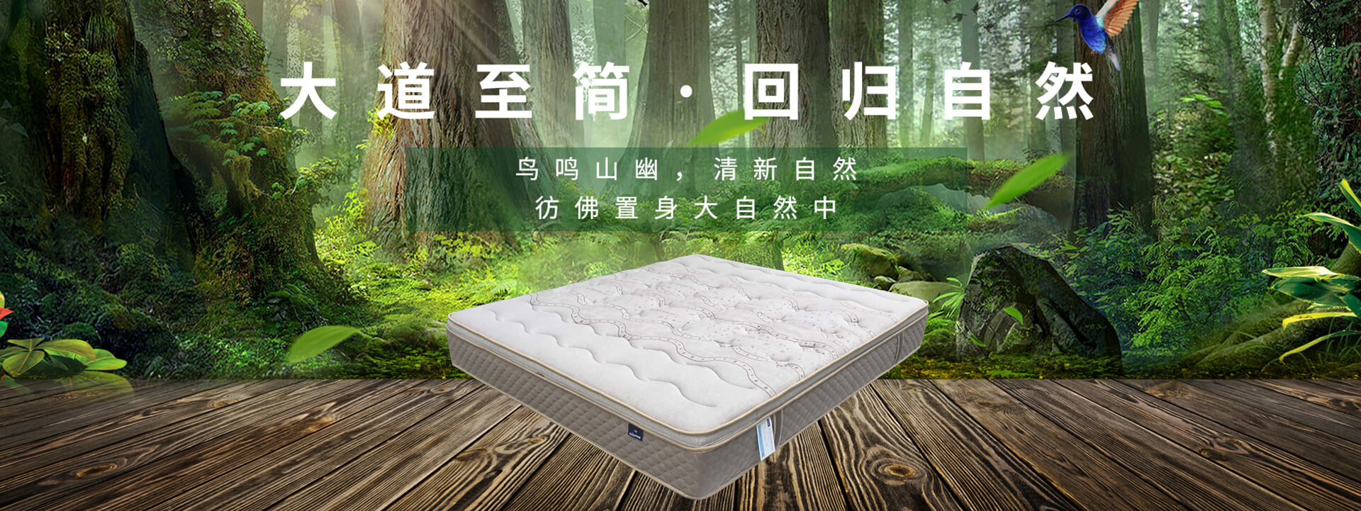 幻灯片